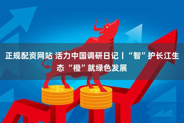 正规配资网站 活力中国调研日记丨“智”护长江生态 “橙”就绿色发展
